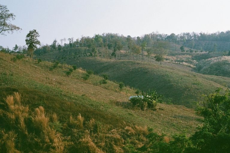 áreas-de-preservação-permanente