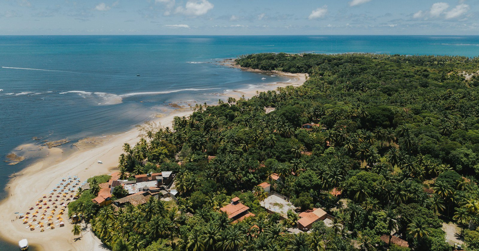 Vista aérea de praia com mata e casas no litoral, ilustrando a regularização de imóvel em área litorânea