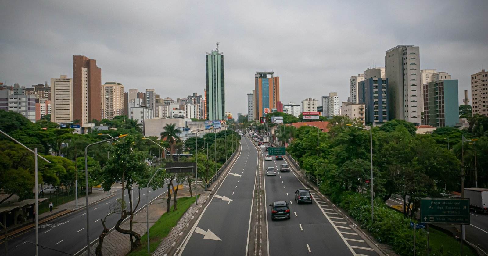 Avenida arborizada com prédios altos ao fundo em uma cidade brasileira, ilustrando usucapião em área urbana