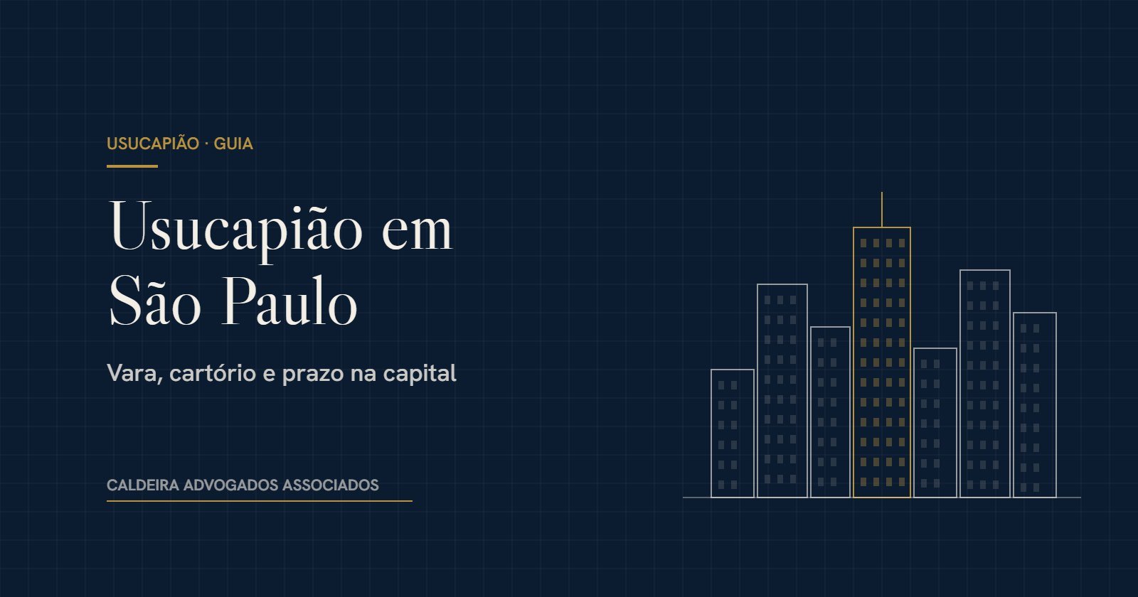 Ilustração de prédios da cidade ao lado do título Usucapião em São Paulo